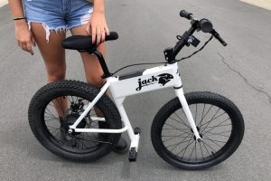 Jackrabbit Bike price